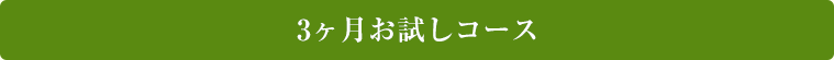 3ヶ月お試しコース